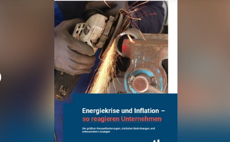 „Energiekrise Und Inflation – So Reagieren Unternehmen“ – Almanyalılar